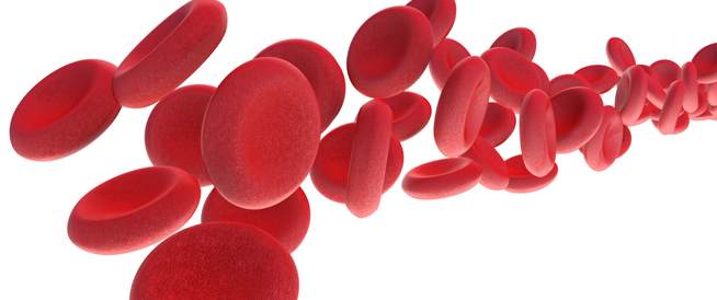 سرطان الدم: الأعراض والأسباب وطرق العلاج