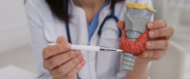 علاج الغدة الدرقية ومعلومات حول نقص نشاطها