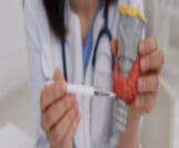 علاج الغدة الدرقية ومعلومات حول نقص نشاطها