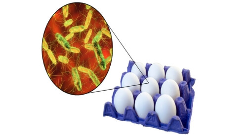 ما هي أعراض السالمونيلا؟ 