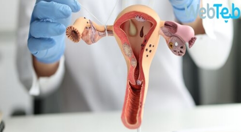 الألم بعد استئصال قناة فالوب: هل هو طبيعي وكيف أتعامل معه؟