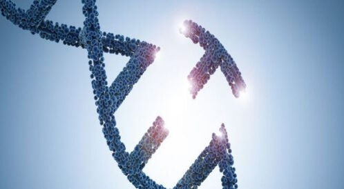 طفرة BRCA: هل يوجد مسبب للسرطان في جيناتك؟