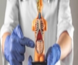 ما هي أعراض نزيف الجهاز الهضمي السفلي؟