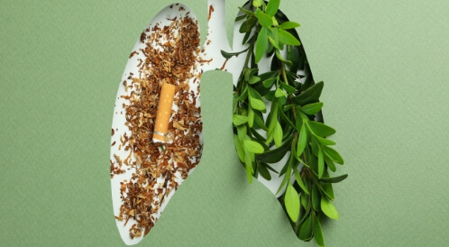 احمِ نفسك: دليل الكشف المبكر عن سرطان الرئة للمدخنين