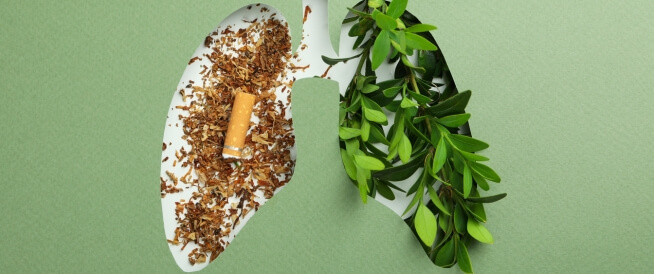 احمِ نفسك: دليل الكشف المبكر عن سرطان الرئة للمدخنين