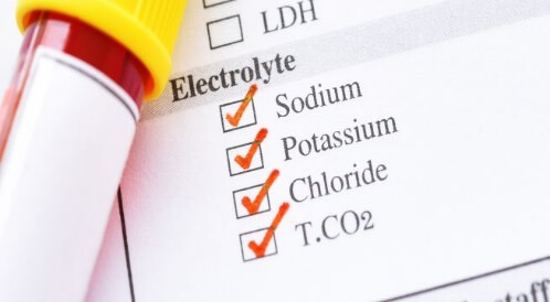 الكهارل: دورها وأهميتها للجسم