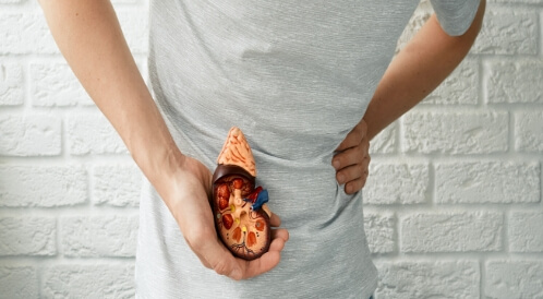 أهم المعلومات عن تفتيت حصى الكلى بالموجات التصادمية