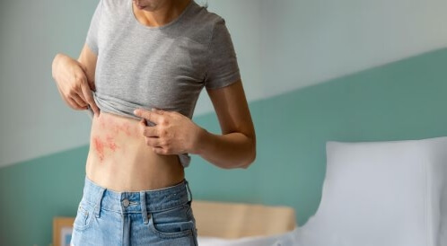 حقائق ومعلومات عن الحزام الناري