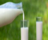 الحليب الطازج: خيار صحي أم خطير؟