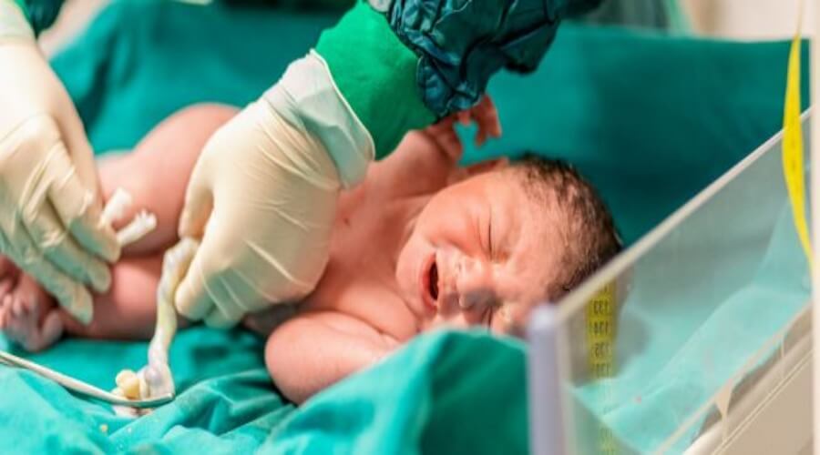 تخزين دم الحبل السري: حفظ للخلايا الجذعية للمولود - ويب طب