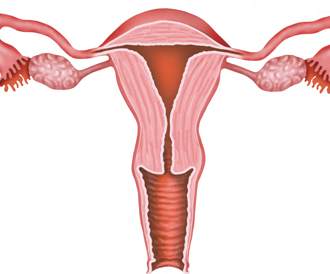 فحص الرحم وقنوات فالوب لتقييم الخصوبة عند النساء