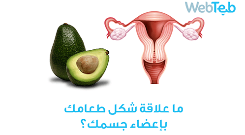 شاهد بالفيديو: الطعام المناسب لأعضاء الجسم 