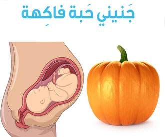 جنيني حبة فاكهة 