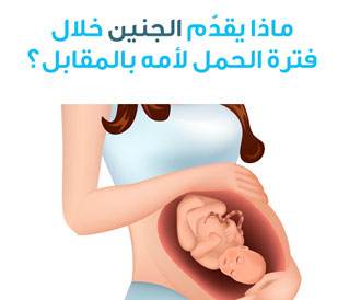 ماذا يقدم الجنين لأمه خلال الحمل