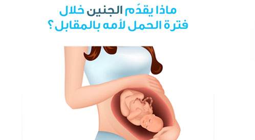 ماذا يقدم الجنين لأمه خلال الحمل