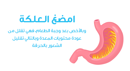 بالفيديو: طرق علاج حرقة المعدة
