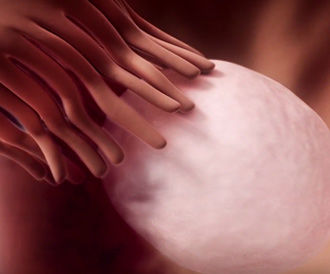 شاهدوا بالفيديو: أسباب التهاب بطانة الرحم