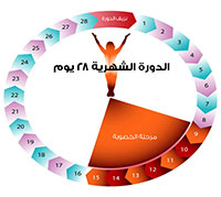 كم مدة الدورة الشهرية عند المرأة المتزوجة