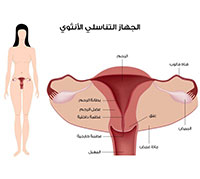 نزيف ما بعد ممارسة الجنس: أسباب، وأعراض، وعلاج.