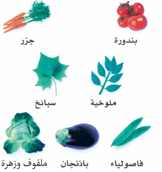 صورة تظهر فيها رسوم لفواكه وخضار
