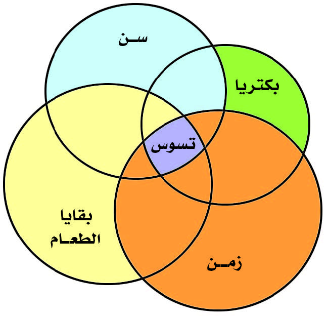 الشكل يبين العوامل الأولية المسببة للتسوس (تضافر أربعة عوامل معاً).