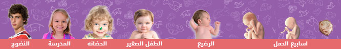 timeline