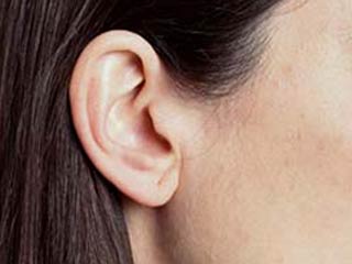 عجائب سمعية، إليك أجزاء الأذن بالصور عجائب سمعية، إليك أجزاء الأذن بالصور