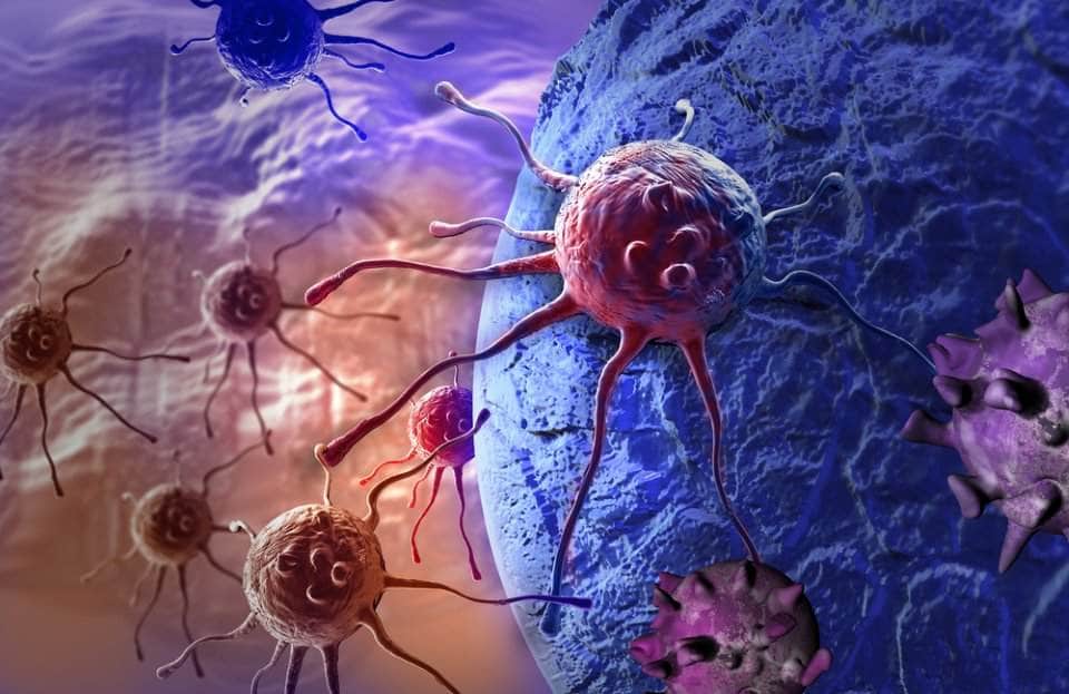  أنواع السرطان الأكثر خطورة وشيوعاً Cells-17886