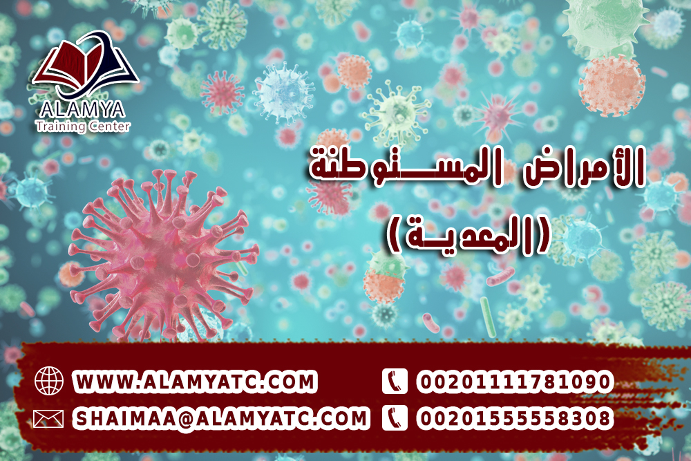 صورة النقاش