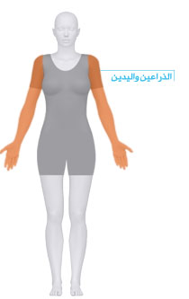 arms and hands