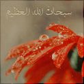 ابراهيم الكواري