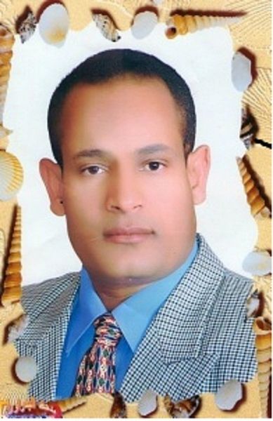 جمال خليفه